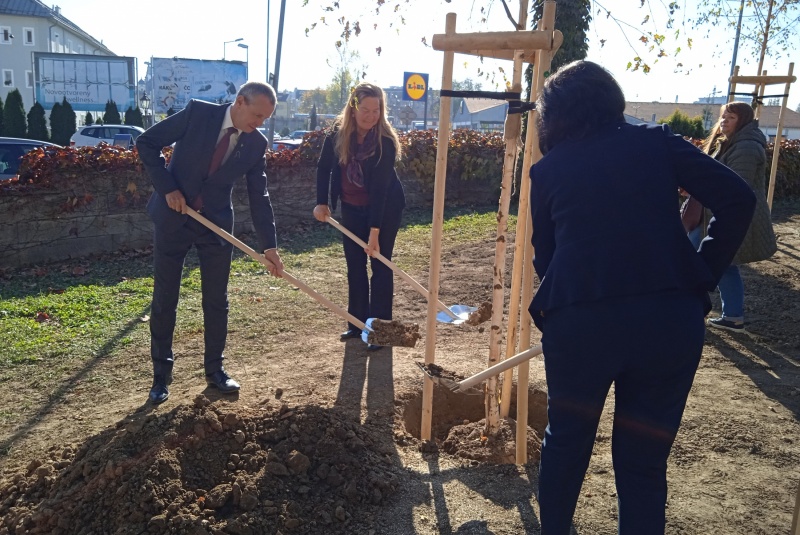 Novinky / Knižka Parky v Žiline, ktorej vznik sme podporili, je na svete - foto Novinky / Knižka Parky v Žiline, ktorej vznik sme podporili, je na svete - foto