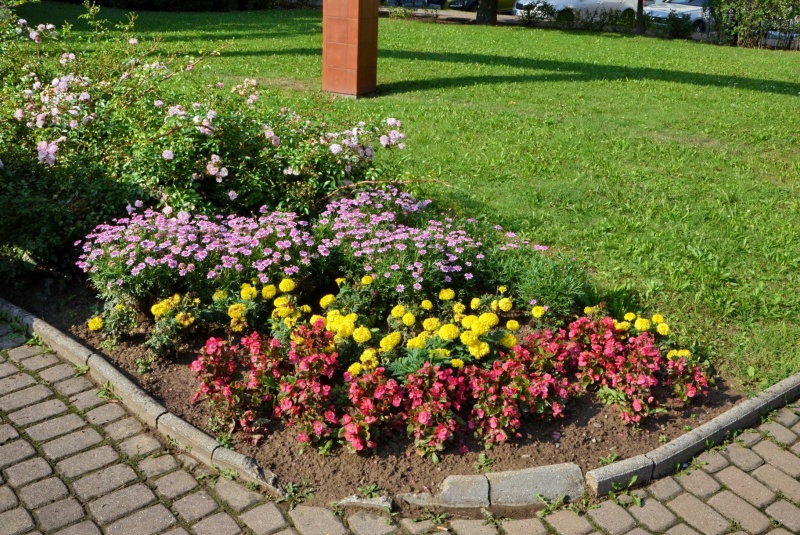 Novinky / Potulky Petra Štanského po žilinských parkoch - foto Novinky / Potulky Petra Štanského po žilinských parkoch - foto