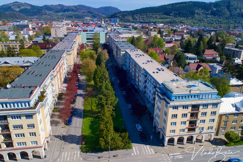 Novinky / Potulky Petra Štanského po žilinských parkoch - foto Novinky / Potulky Petra Štanského po žilinských parkoch - foto